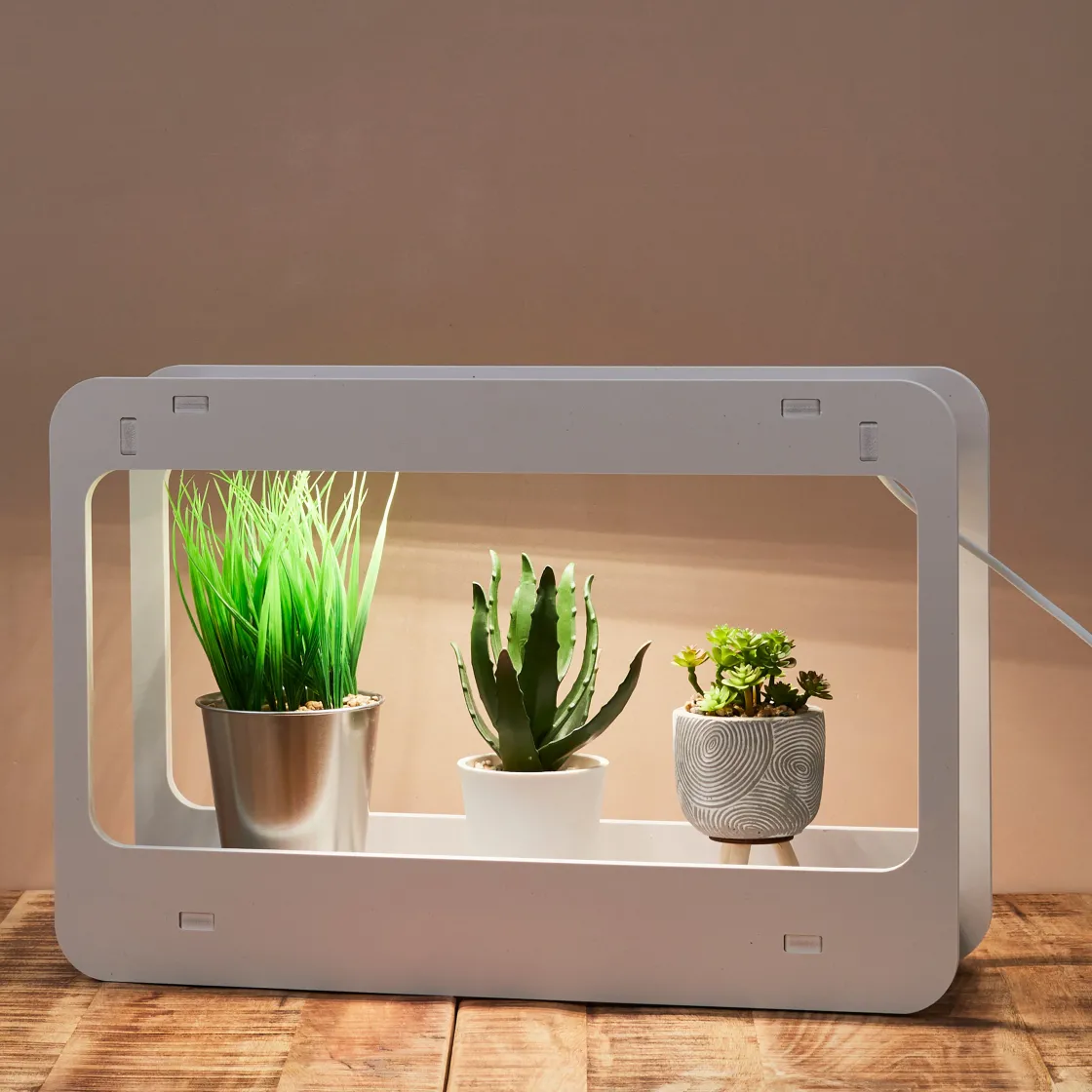 La Chaise Longue Luminaire-LAMPE POTAGER D'INTERIEUR