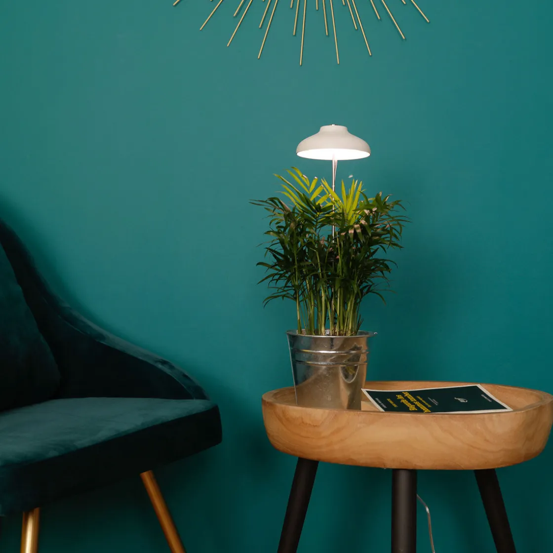 La Chaise Longue Luminaire-LAMPE POUR PLANTE USB