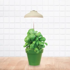 La Chaise Longue Luminaire-LAMPE POUR PLANTE USB