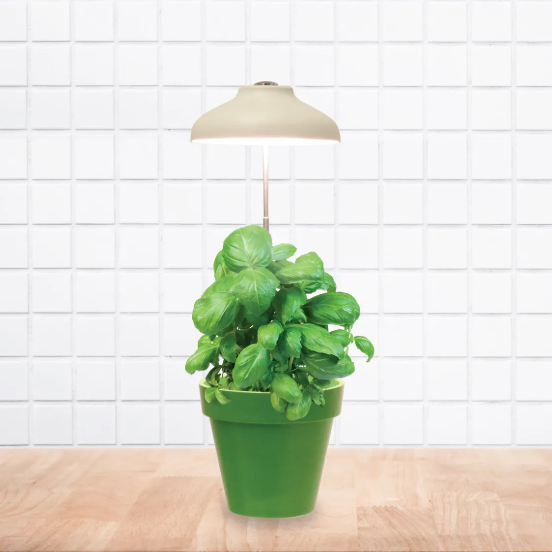 La Chaise Longue Luminaire-LAMPE POUR PLANTE USB