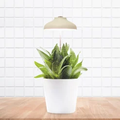 La Chaise Longue Luminaire-LAMPE POUR PLANTE USB