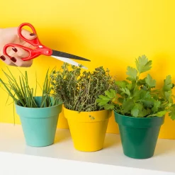 La Chaise Longue Jardin-TRIO AROMATIQUE