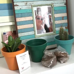 La Chaise Longue Jardin-TRIO CACTUS