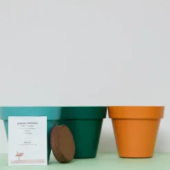 La Chaise Longue Jardin-TRIO CACTUS