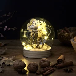 La Chaise Longue Déco Lumineuse|Déco-VEILLEUSE RONDE FLEURS SECHEES