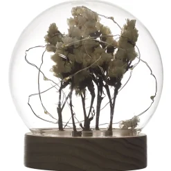 La Chaise Longue Déco Lumineuse|Déco-VEILLEUSE RONDE FLEURS SECHEES